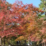 IMG_5732_R