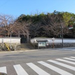 IMG_6465_R