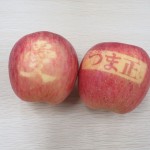 IMG_7419_R