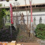 IMG_7822_R